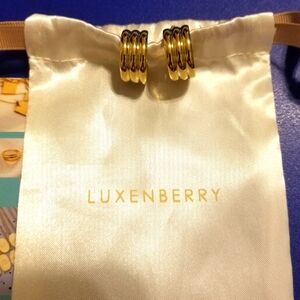 Stylish Gold Earrings, Brand new, never worn gold hoop earrings from Luxenberry